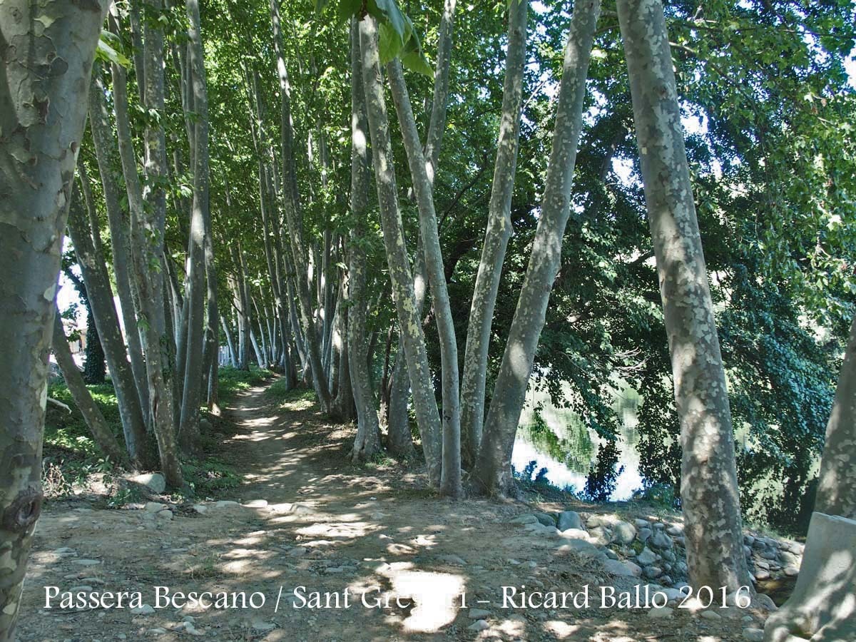 Passera entre Sant Gregori i Bescanó – Bescanó