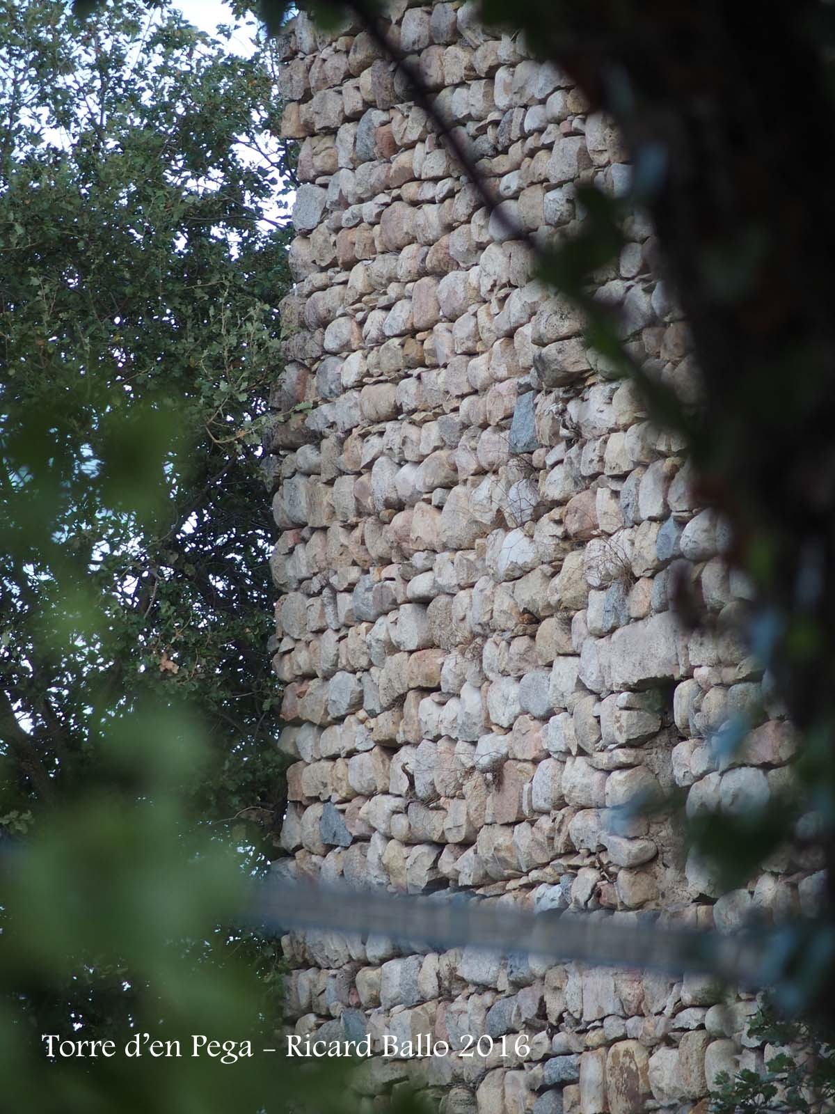 Torre d’en Pega – Riells i Viabrea - Fotografia obtinguda passant l'objectiu de la màquina de fotografiar entre mig del filat de la porta d'entrada a la finca