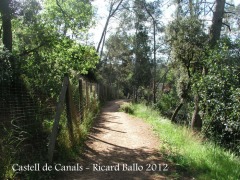 castell-de-canals-120505_009