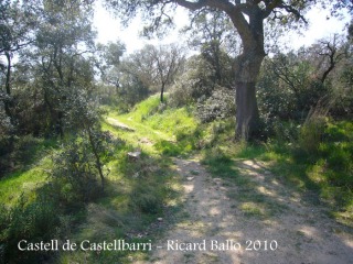 castell-de-castellbarri-100410_535