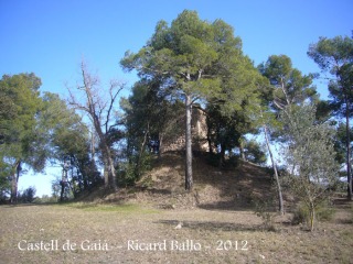 castell-de-gaia-120308_507