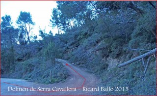 Camí al Dolmen de Serra Cavallera - Aquí són ben evidents els resultats dels estralls produïts per una recent ventada