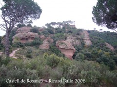 castell-de-rosanes-081127_505