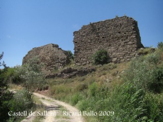 castell-de-sallent-090530_710