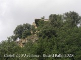 Castell de S'Avellana