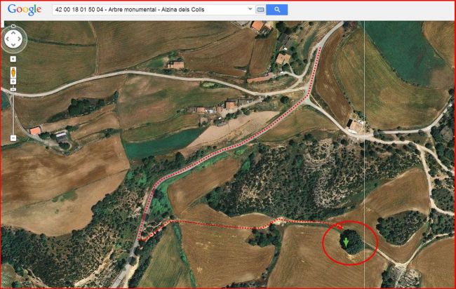 Itinerari a l'alzina dels Colls – Casserres - Captura de pantalla de Google Maps, complementada amb anotacions manuals.