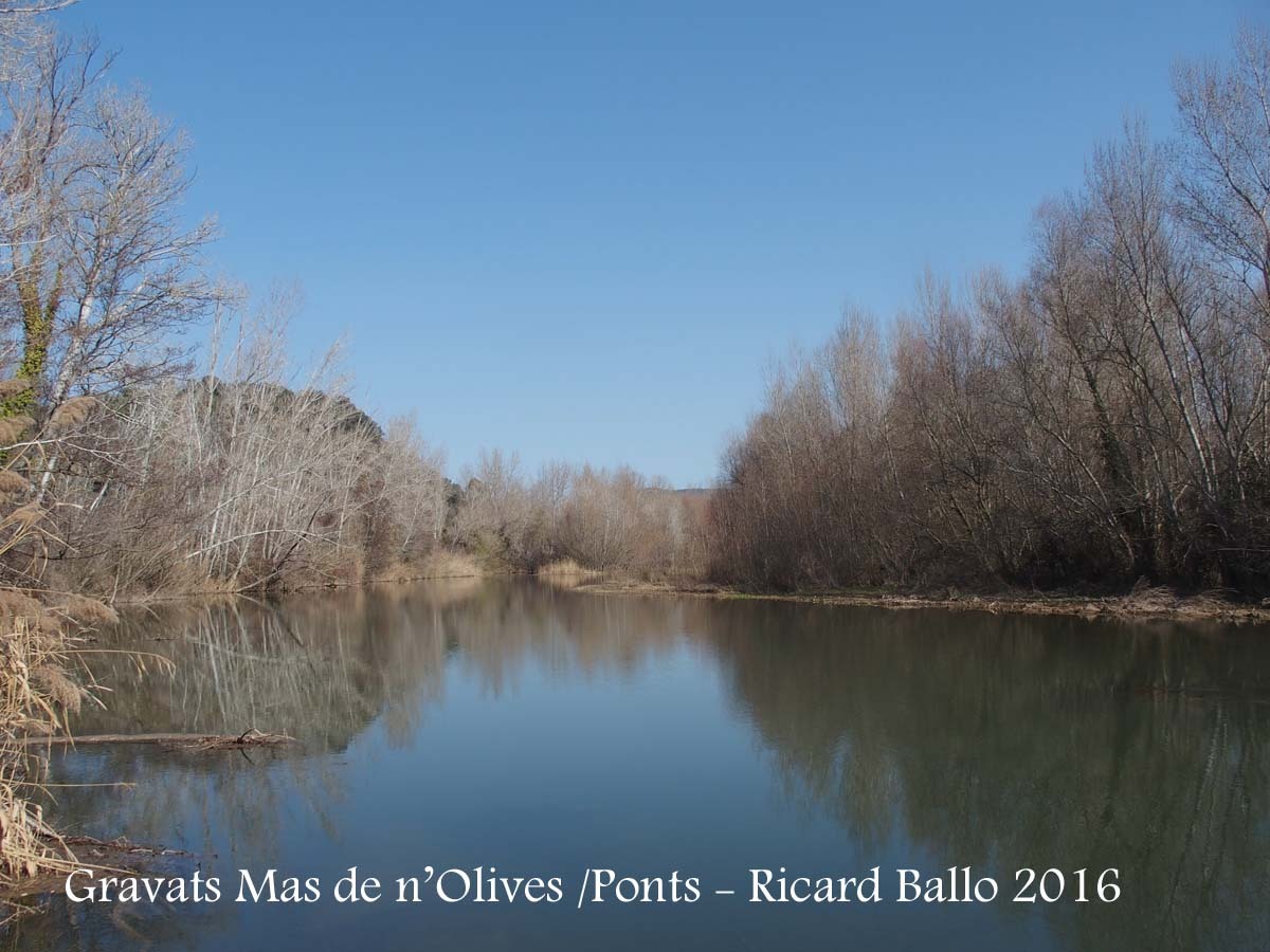 Gravats del Mas de n’Olives - Ponts - Riu Segre