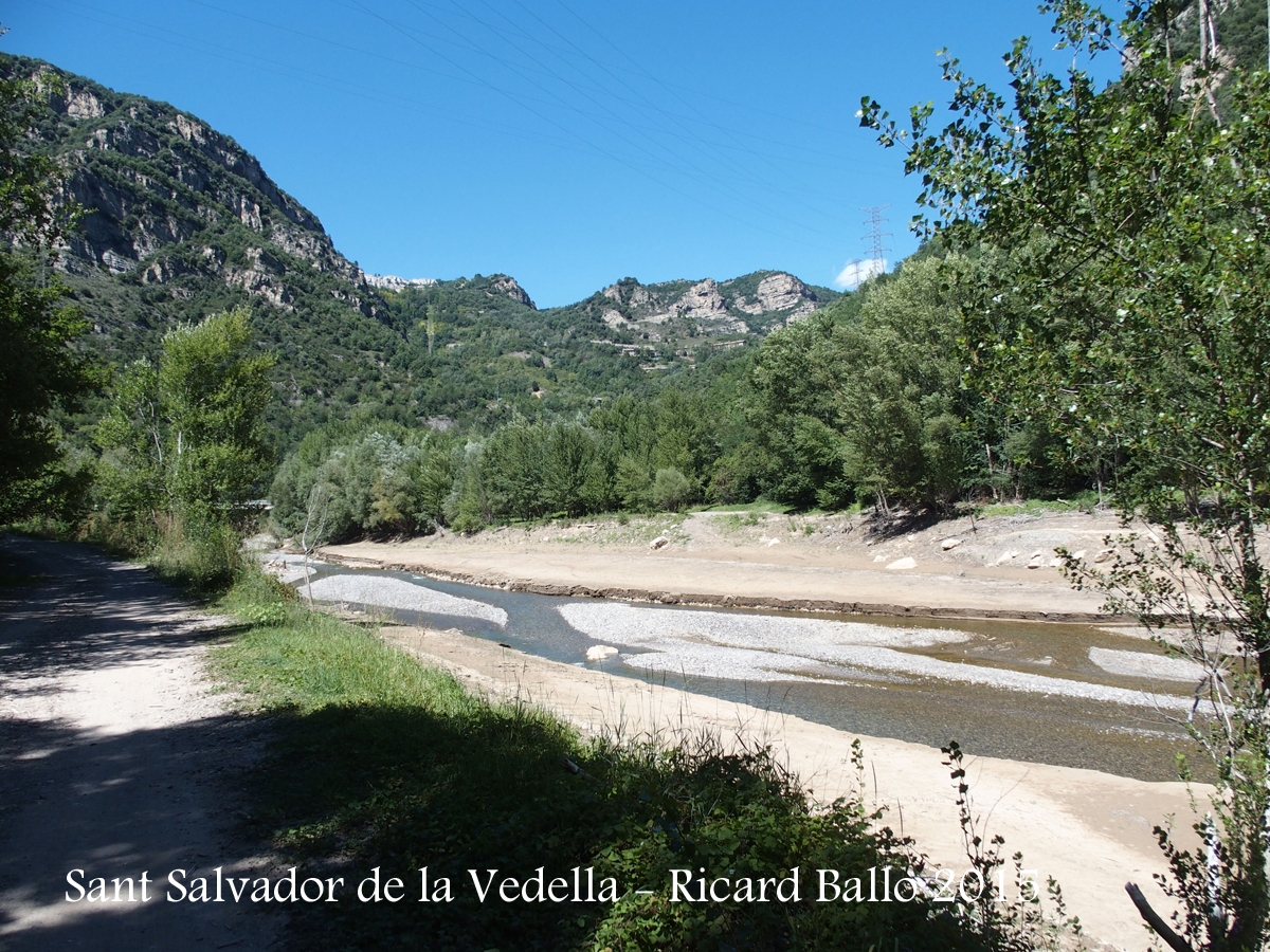 Monestir de Sant Salvador de la Vedella - Cercs