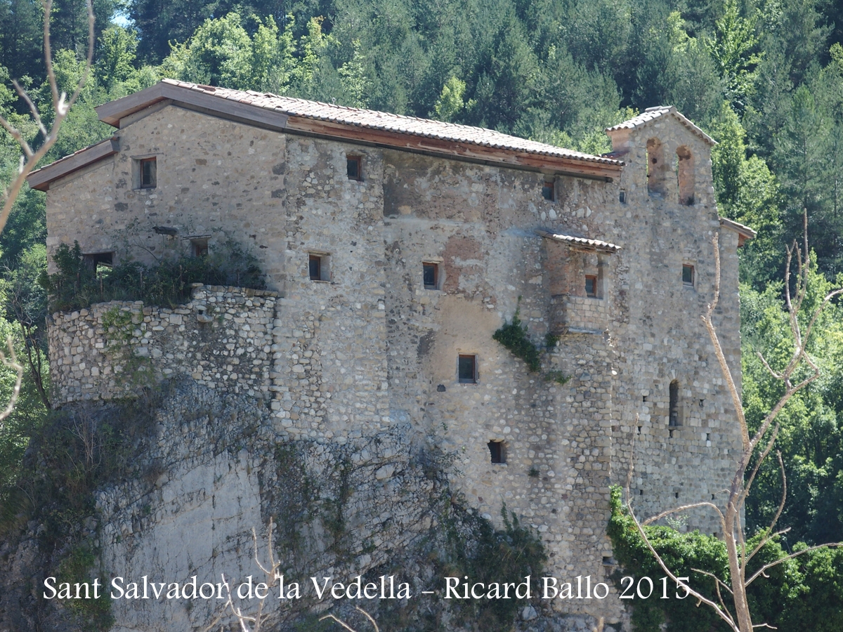 Monestir de Sant Salvador de la Vedella - Cercs