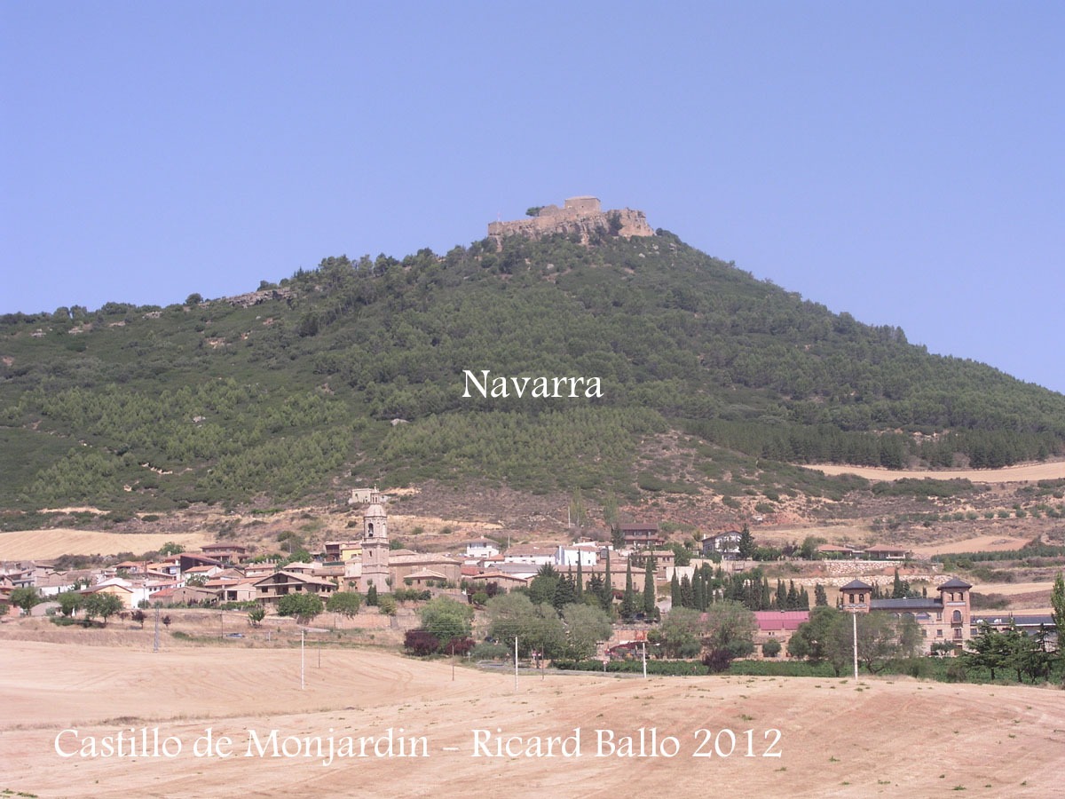 Castillo de Monjardín - NAVARRA
