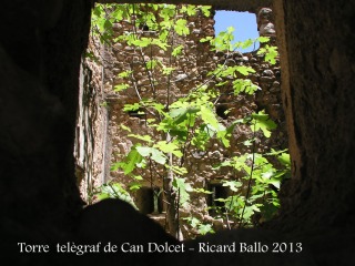 Torre del telègraf de Can Dolcet - Interior de la torre, presa per la vegetació.