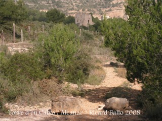 Torre de'n Calvo-Alcanar-Pedres barrant el pas als vehicles motoritzats
