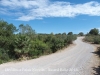 Camí de Begues a Palau Novella