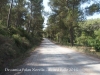 Camí de Begues a Palau Novella