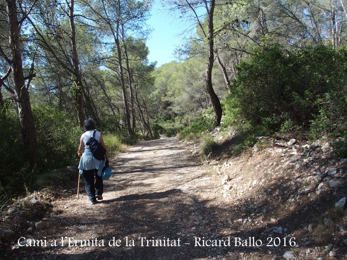 Camí a l'Ermita de la Trinitat