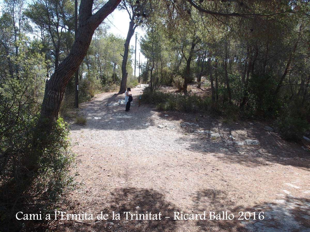 Camí a l'Ermita de la Trinitat