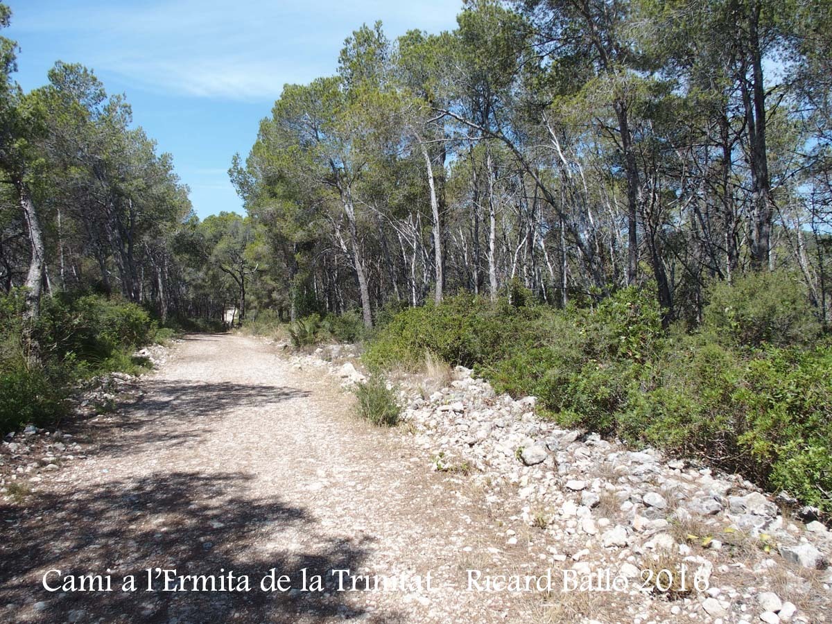 Camí a l'Ermita de la Trinitat