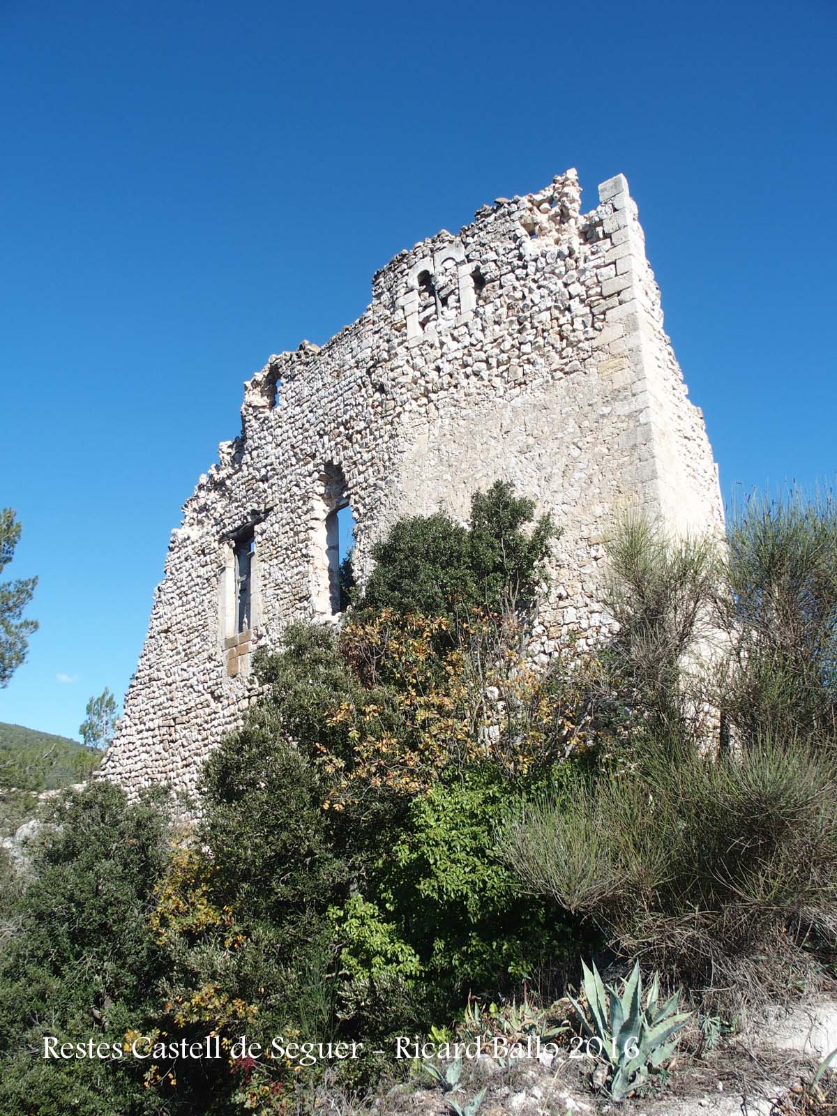 Castell de Seguer - Pontils