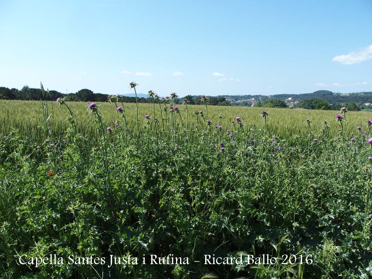 Vistes des de la Capella de Santa Justa i Santa Rufina – Lliçà d’Amunt
