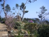 Castell de Cap Roig