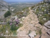 Castell de Montgrí – Torroella de Montgrí - Agafem el camí de baixada. En aquest dies primaverals del mes d'abril, les vores del camí estan entapissades de belles flors silvestres