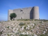 Castell de Montgrí - Torroella de Montgrí - Quan som dalt del turó, aquesta és la imatge que se'ns ofereix , envoltats per un paisatge ferèstec, erm ,amb un arbre solitar i