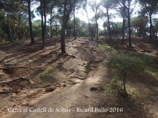 Camí al castell de Solius