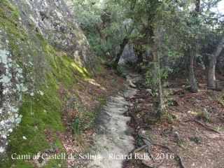 Camí al castell de Solius