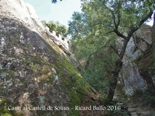 Camí al castell de Solius