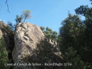 Camí al castell de Solius