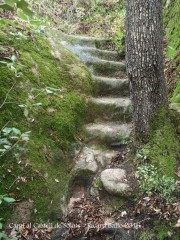 Camí al castell de Solius