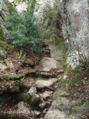 Camí al castell de Solius