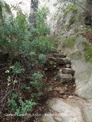 Camí al castell de Solius