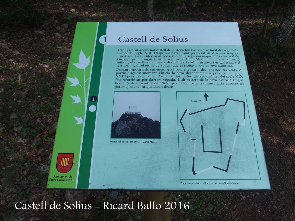 Castell de Solius