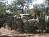 Dolmen de la Cova d’en Daina – Santa Cristina d’Aro