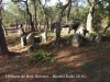 Dolmen del Mas Bou-Serenys – Santa Cristina d’Aro