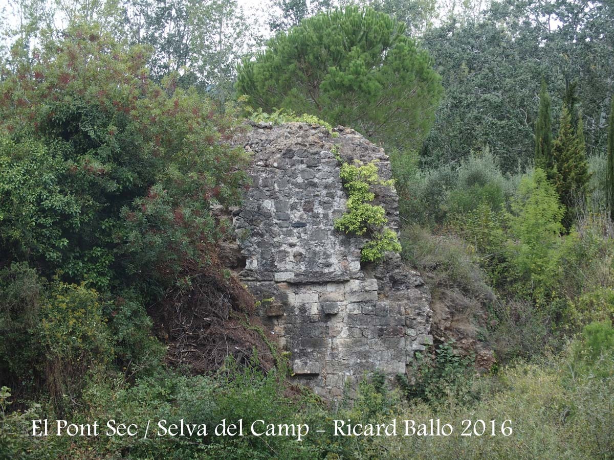 El Pont Sec – Selva del Camp - Vista de les suposades restes d'una edificació sarraïna