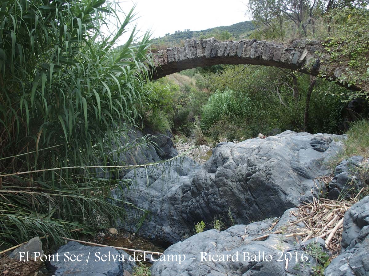 El Pont Sec – Selva del Camp - Fotografia obtinguda des del llit del riu