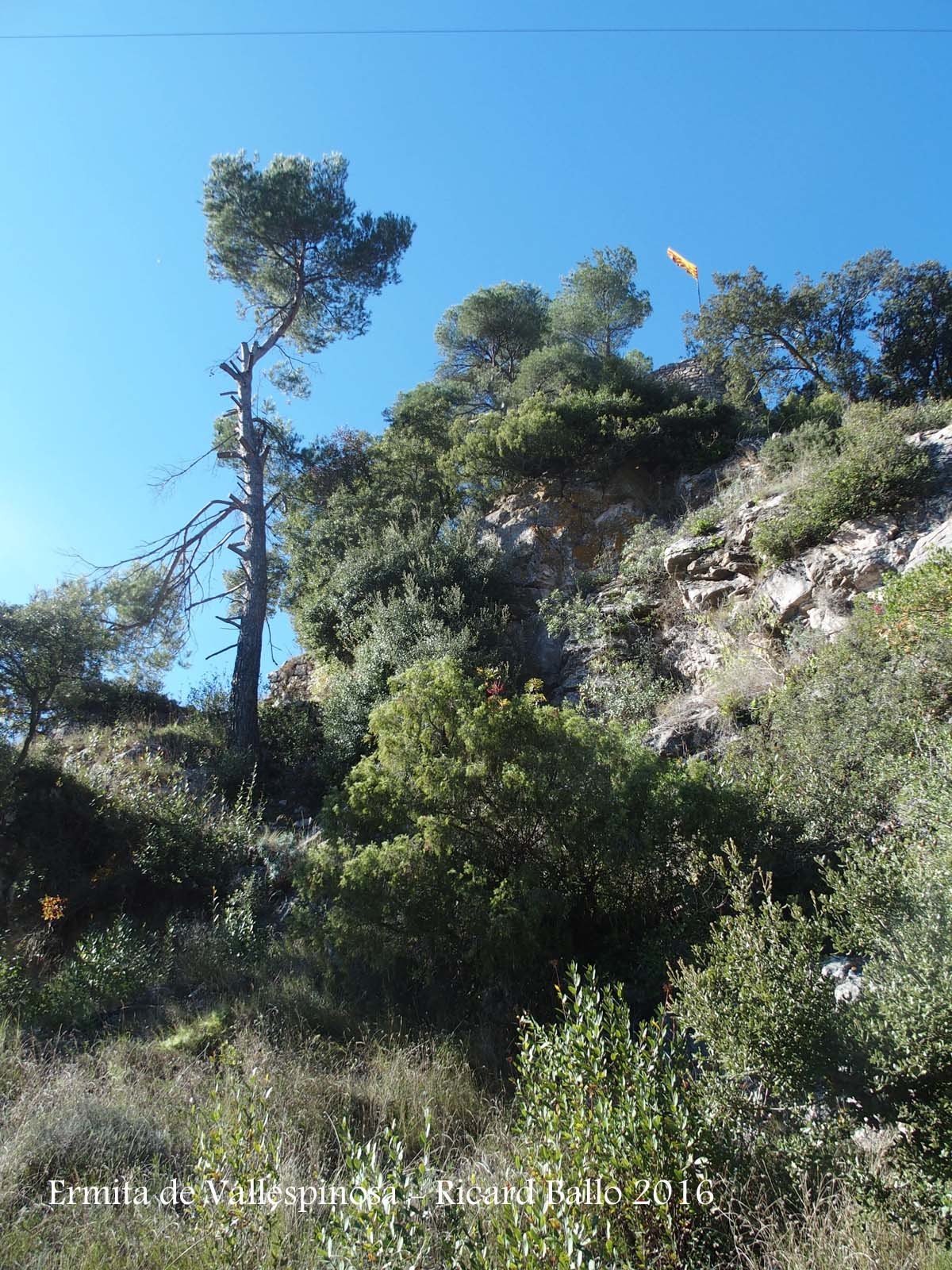 Des de l'Ermita de Vallespinosa – Pontils, es pot accedir al castell de Vallespinosa, que en aquesta fotografia podem intuir la seva presència per la senyera que hi ondeja.