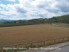 Vistes des de l'Església de Sant Andreu de l’Estanyol – Bescanó
