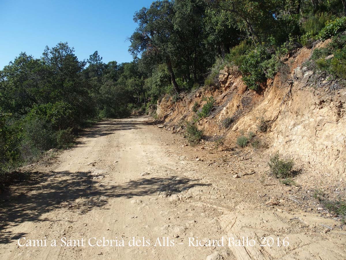 Camí a l'església de Sant Cebrià dels alls