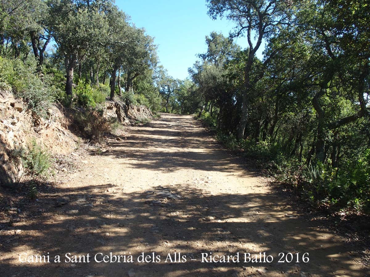 Camí a l'església de Sant Cebrià dels alls