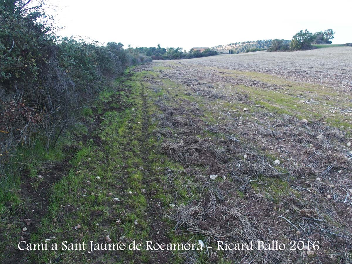 Camí a l'Església de Sant Jaume de Rocamora – Pontils