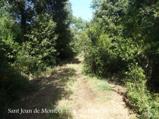 Camí d'accés a l'Església de Sant Joan de Montbó – Canet d’Adri