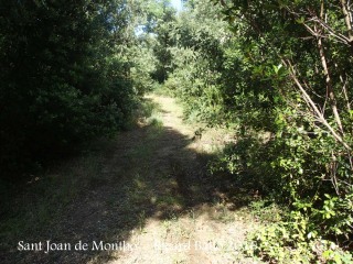 Camí d'accés a l'Església de Sant Joan de Montbó – Canet d’Adri