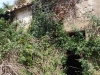 Església de Sant Pere de la Sala – Llobera - Porta d'entrada a l'interior, envaïda per la vegetació