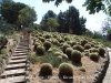 Jardí Botànic Pinya de Rosa – Blanes