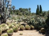 Jardí Botànic Pinya de Rosa – Blanes