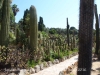 Jardí Botànic Pinya de Rosa – Blanes