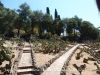 Jardí Botànic Pinya de Rosa – Blanes